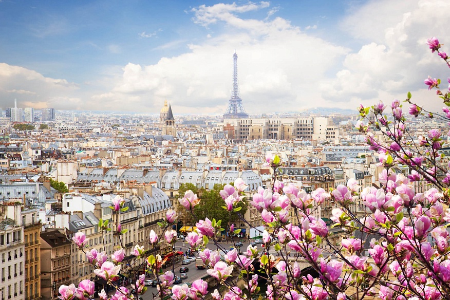 Власти Парижа озабочены повышением доступности жилья