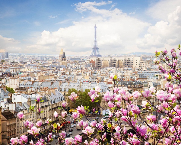 Власти Парижа озабочены повышением доступности жилья